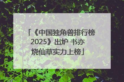 《中国独角兽排行榜2025》出炉 书亦烧仙草实力上榜