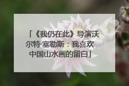 《我仍在此》导演沃尔特·塞勒斯：我喜欢中国山水画的留白