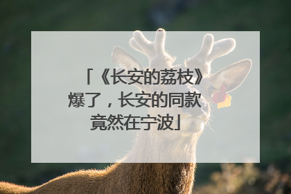 《长安的荔枝》爆了，长安的同款竟然在宁波