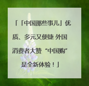 「中国那些事儿」优质、多元又便捷 外国消费者大赞“中国购”是全新体验！