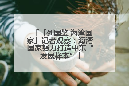 「列国鉴·海湾国家」记者观察：海湾国家努力打造中东“发展样本”