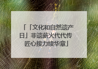 「文化和自然遗产日」非遗薪火代代传 匠心接力续华章