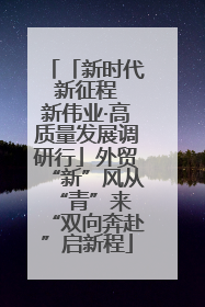 「新时代 新征程 新伟业·高质量发展调研行」外贸“新”风从“青”来 “双向奔赴”启新程