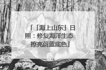 「海上山东」日照：修复海洋生态 擦亮蔚蓝底色