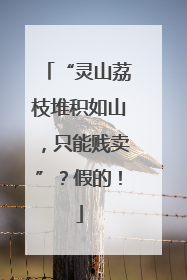 “灵山荔枝堆积如山，只能贱卖”？假的！