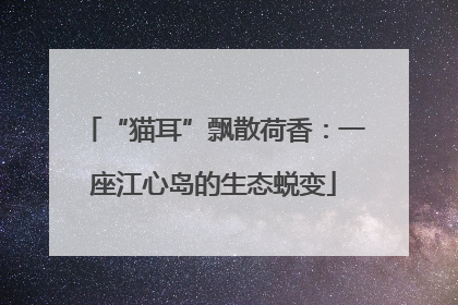 “猫耳”飘散荷香：一座江心岛的生态蜕变