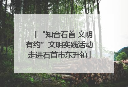 “知音石首 文明有约”文明实践活动走进石首市东升镇
