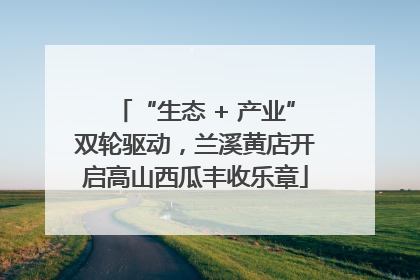 “生态 + 产业”双轮驱动，兰溪黄店开启高山西瓜丰收乐章