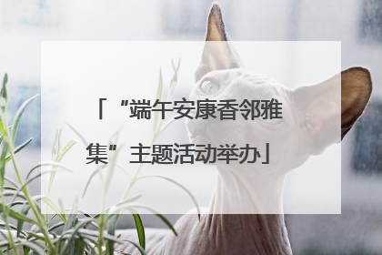 “端午安康香邻雅集”主题活动举办