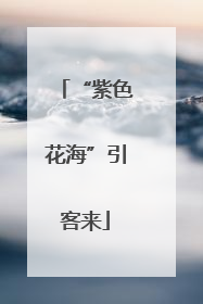 “紫色花海”引客来