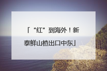 “红”到海外！新泰鲜山楂出口中东