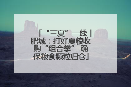 “三夏”一线丨肥城：打好夏粮收购“组合拳” 确保粮食颗粒归仓