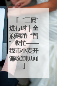 “三夏”进行时｜金浪翻涌“智”收忙——我市小麦开镰收割见闻