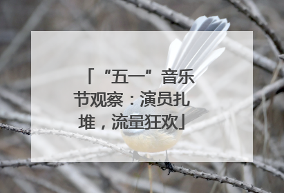 “五一”音乐节观察：演员扎堆，流量狂欢
