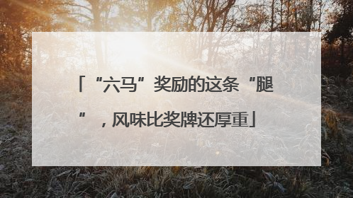 “六马”奖励的这条“腿”，风味比奖牌还厚重