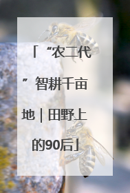 “农二代”智耕千亩地｜田野上的90后