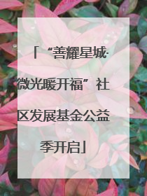 “善耀星城·微光暖开福”社区发展基金公益季开启