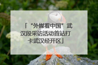 “外媒看中国”武汉段采访活动首站打卡武汉经开区