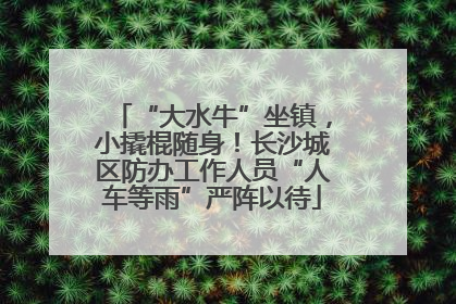 “大水牛”坐镇，小撬棍随身！长沙城区防办工作人员“人车等雨”严阵以待