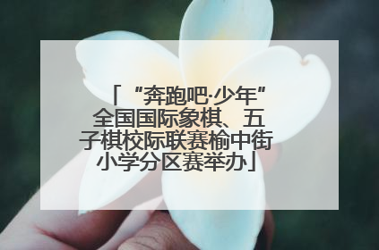 “奔跑吧·少年” 全国国际象棋、五子棋校际联赛榆中街小学分区赛举办