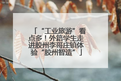 “工业旅游”看点多！外籍学生走进胶州李哥庄镇体验“胶州智造”