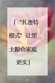 “扎赉特模式”让黑土粮仓家底更实