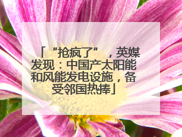 “抢疯了”，英媒发现：中国产太阳能和风能发电设施，备受邻国热捧