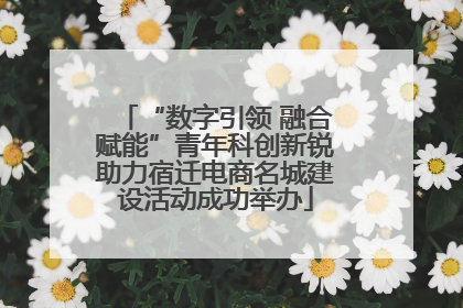 “数字引领 融合赋能”青年科创新锐助力宿迁电商名城建设活动成功举办