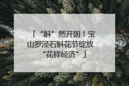 “斛”然开朗！宝山罗泾石斛花节绽放“花样经济”