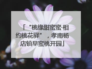 “桃缘甜蜜蜜·相约桃花驿”，孝南杨店镇早蜜桃开园