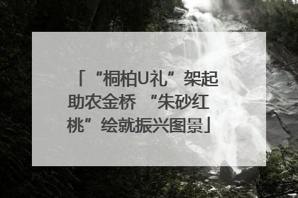 “桐柏U礼”架起助农金桥 “朱砂红桃”绘就振兴图景