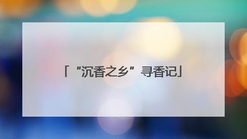 “沉香之乡”寻香记