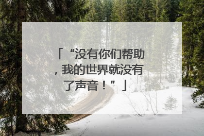 “没有你们帮助，我的世界就没有了声音！”