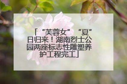 “芙蓉女”“夏”日归来！湖南烈士公园两座标志性雕塑养护工程完工