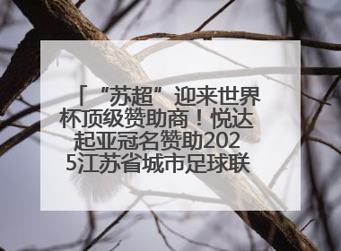 “苏超”迎来世界杯顶级赞助商！悦达起亚冠名赞助2025江苏省城市足球联赛盐城赛区