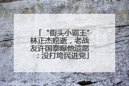“街头小霸王”林正杰癌逝，老战友许国泰曝他遗愿：没打垮民进党