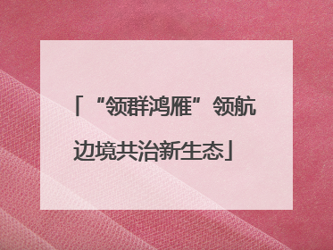“领群鸿雁”领航边境共治新生态