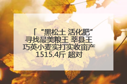 “黑松土 活化肥”寻找最美粮王 莘县王巧英小麦实打实收亩产1515.4斤 超对照田144斤！