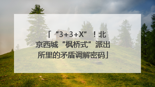“3+3+X”！北京西城“枫桥式”派出所里的矛盾调解密码
