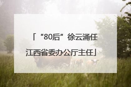 “80后”徐云涌任江西省委办公厅主任