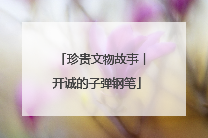 珍贵文物故事丨开诚的子弹钢笔