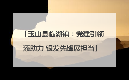 玉山县临湖镇：党建引领添助力 银发先锋展担当