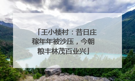 王小楼村：昔日庄稼年年被沙压，今朝粮丰林茂百业兴