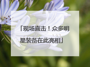 现场直击！众多明星装备在此亮相