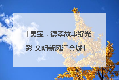 灵宝：德孝故事绽光彩 文明新风润金城