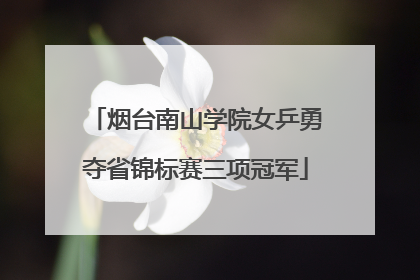 烟台南山学院女乒勇夺省锦标赛三项冠军