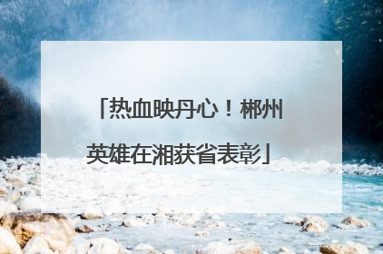 热血映丹心！郴州英雄在湘获省表彰