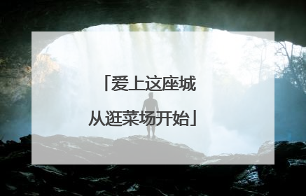 爱上这座城 从逛菜场开始
