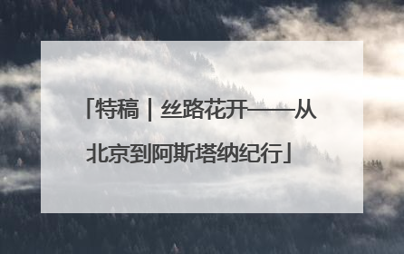 特稿｜丝路花开——从北京到阿斯塔纳纪行