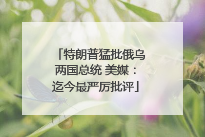 特朗普猛批俄乌两国总统 美媒：迄今最严厉批评